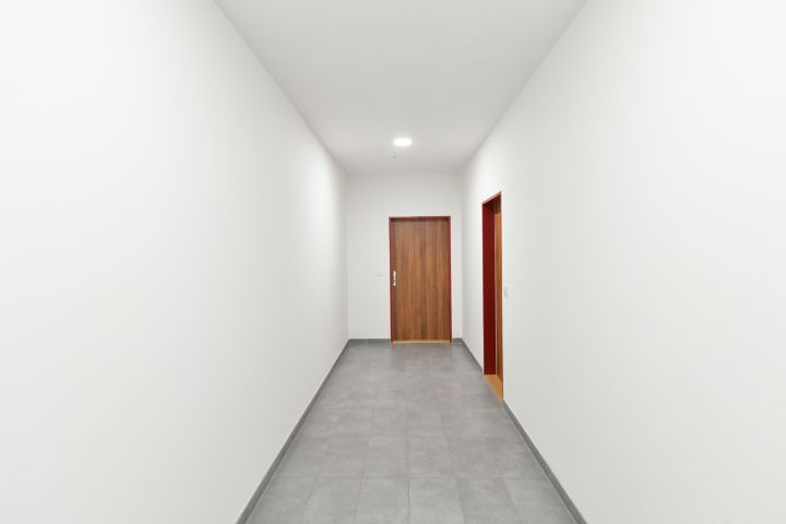 Flat for rent 1+kk, 50 m2